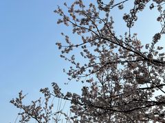 -贵阳市花溪国家城市湿地公园