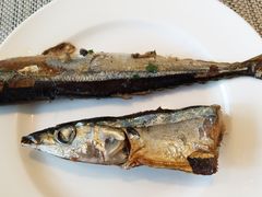 -咖啡苑·沈阳今旅酒店Hotel Jen·香格里拉集团