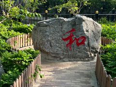 -太阳宫公园