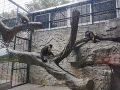 -泉州海丝野生动物世界