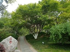 -莫愁湖公园