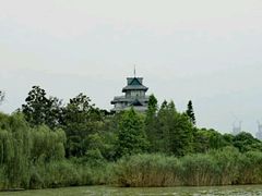 -金鸡湖桃花岛