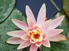 -漩门湾国家湿地公园