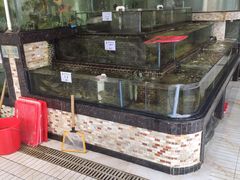 水产区-东江港海鲜城(广雅花园别墅区店)