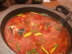 酸汤鱼-新凯里酸汤鱼(飞山街店)
