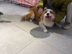 -FAELING PETS美天灵宠物(富力广场店)