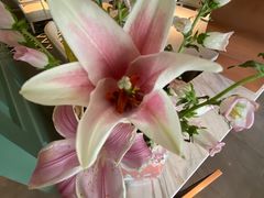 -南堂馆·新川菜(春熙路店)