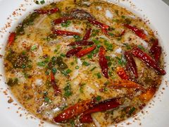 老坛酸菜鲈鱼-江渔儿酸菜鱼(奥园广场金发购物中心店)