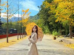 -洛阳白云山景区