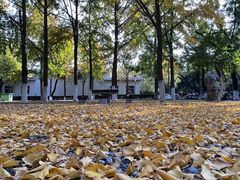 -山东大学(趵突泉校区)