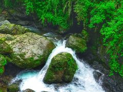-瓦屋山景区