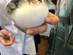 -观桥阁(锦溪店)