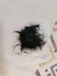 -慧婴轩婴儿理胎发胎毛笔胎毛画手足印(通州店)