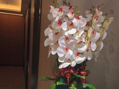 -水云间水疗会馆(福强路店)