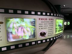 -上海昆虫博物馆