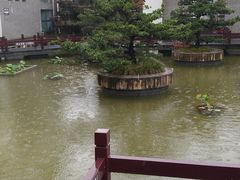 -句容茅山景区