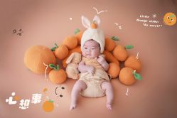 -乐茵敔山湾月子中心(独栋湖景店)