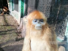 -西安秦岭野生动物园