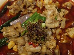 -老牌坊鲁菜名店(聊城美食岛店)