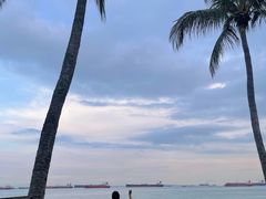 -珍宝海鲜(东海岸海鲜中心)