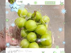 -砂之船奥特莱斯(合肥店)