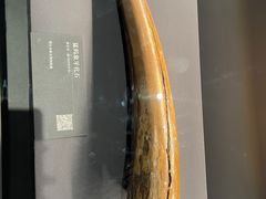 -鄂尔多斯博物馆