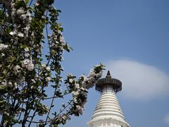 -妙应寺白塔