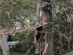-杭州动物园