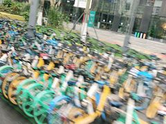 -博沃思·专注力·心理咨询·家庭教育(世豪中心)