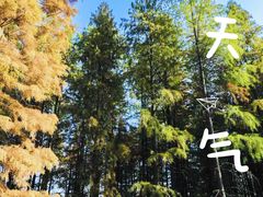 -泗洪洪泽湖湿地景区