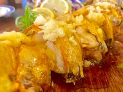 -茉莉.Red Crab