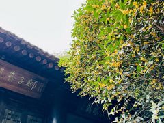 -沣峪森林公园龙潭戏水景区