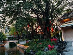 -荔湾湖公园