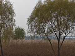 -绿堤公园