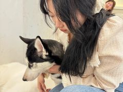 -共舞时光猫咖·狗咖(新街口店)