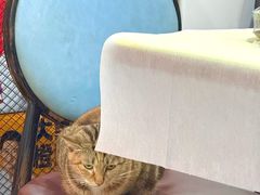 -广记海鲜(杨汊湖一店)