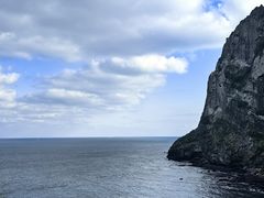 -涉地可支