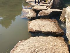 -洛龙公园