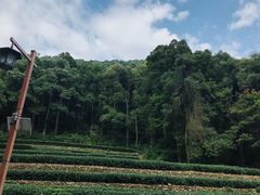 -钱江新城灯光秀