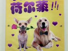 -北京观赏动物医院·24小时大型综合·猫专科·异宠专科