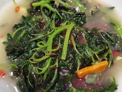 上汤苋菜-双井轩(双井店)