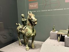 -广西壮族自治区博物馆