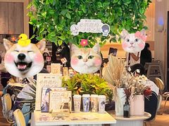 -必胜客(WOW中心城店)