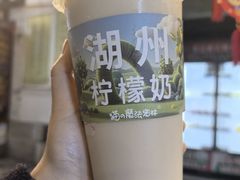 -猫的魔法密林(衣裳街店)