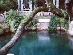 -蝴蝶泉公园