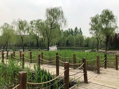 披萨-东方苑自助餐厅(稻香湖景酒店)