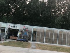 -午后庭院