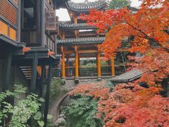 -鱼桥巷·美学川菜