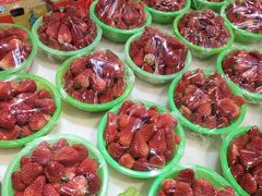 -果果时代(黄村西大街店)