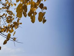 -淇河国家湿地公园